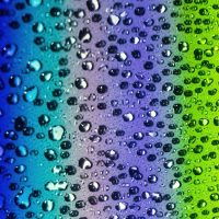 The Hidden Cost of Web Visuals