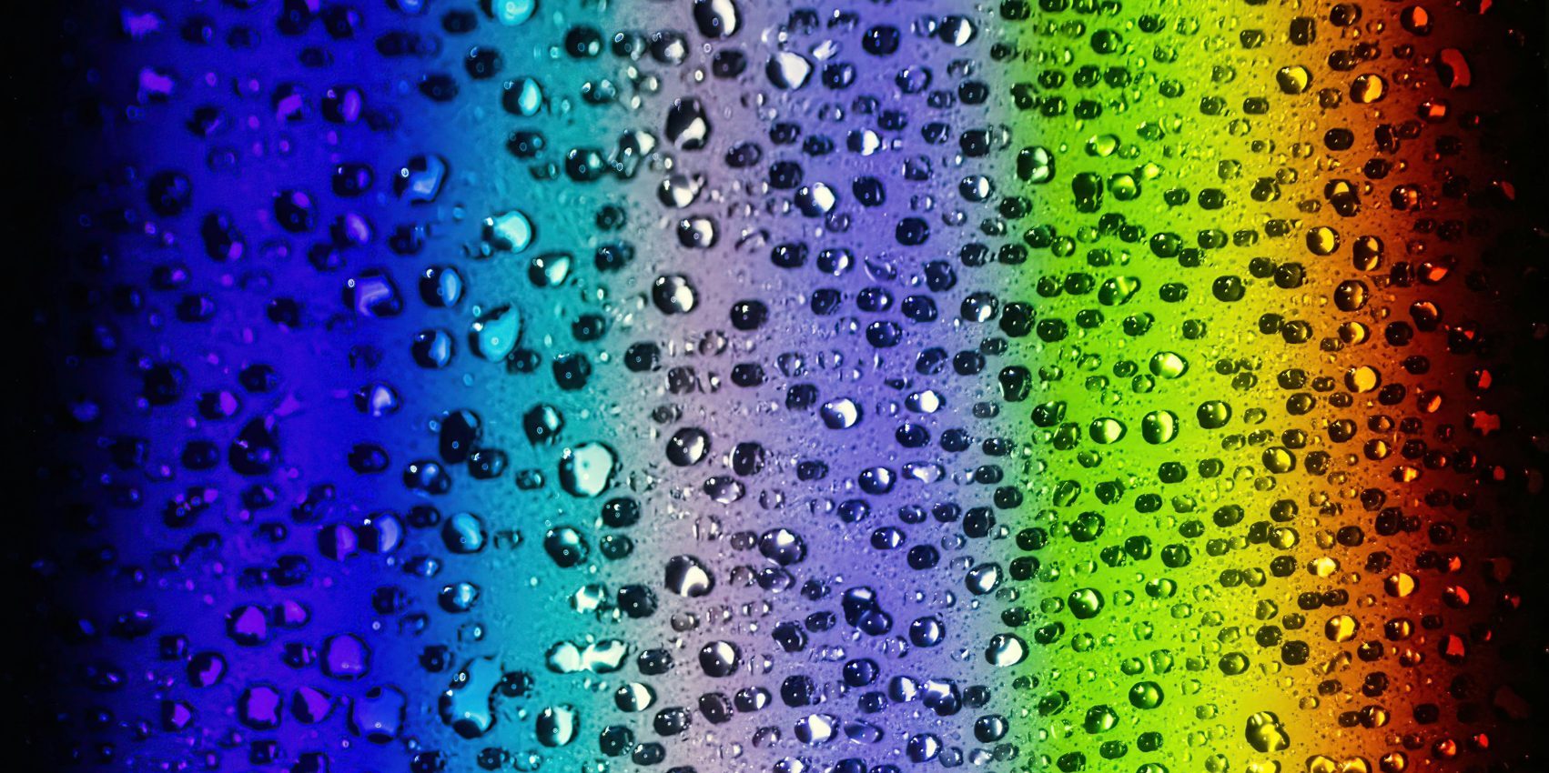 The Hidden Cost of Web Visuals