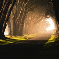 Why “Net Positive” is the way ahead in climate change and health - Professor Tim Taylor