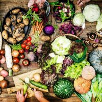 World Food Day 2025: How the UK Can Deliver on the EAT-Lancet Vision
