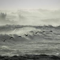 Storm Goretti and Beyond: Understanding the Health Toll of Extreme Weather 