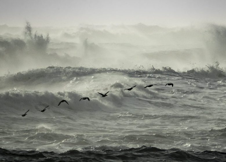 Storm Goretti and Beyond: Understanding the Health Toll of Extreme Weather 