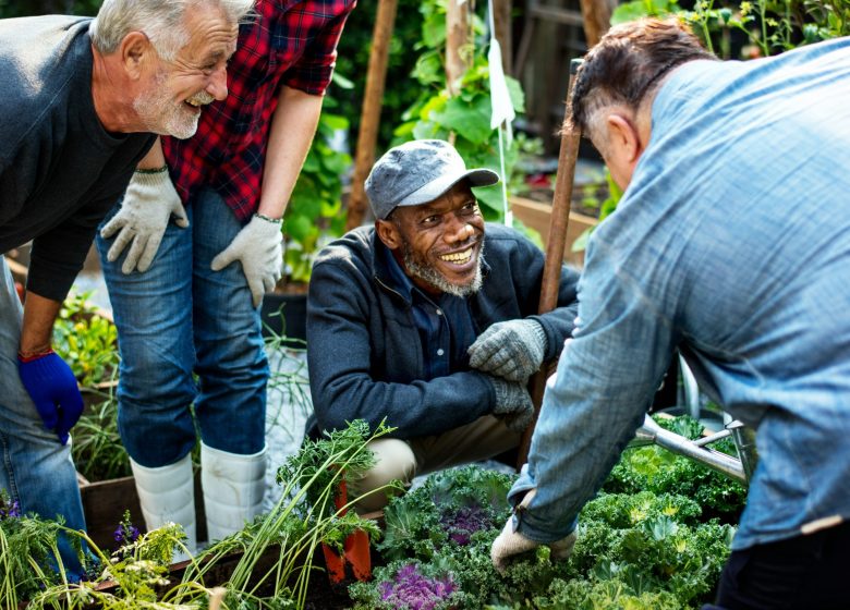 Public engagement and health equity