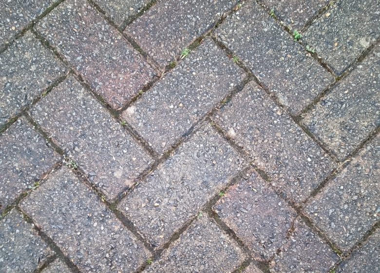 Domestic gardens, equitable climate resilience, ecosystem services and health