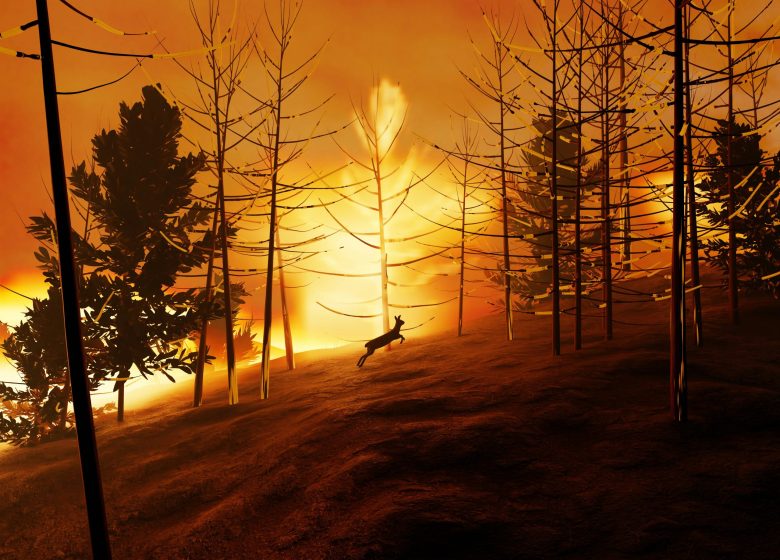 Wildfires are not just a test of emergency response—they're a test of the systems we've built. 